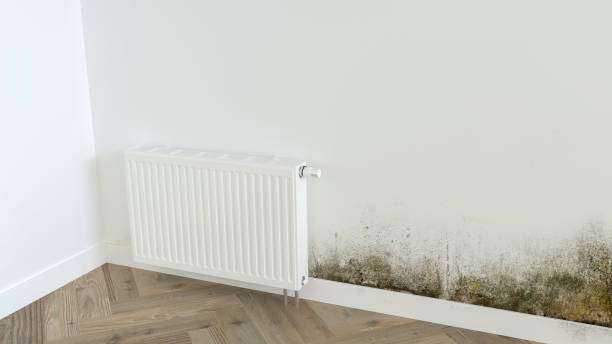 24-7 Emergency Mold Removal and Remediation Bullard, TX