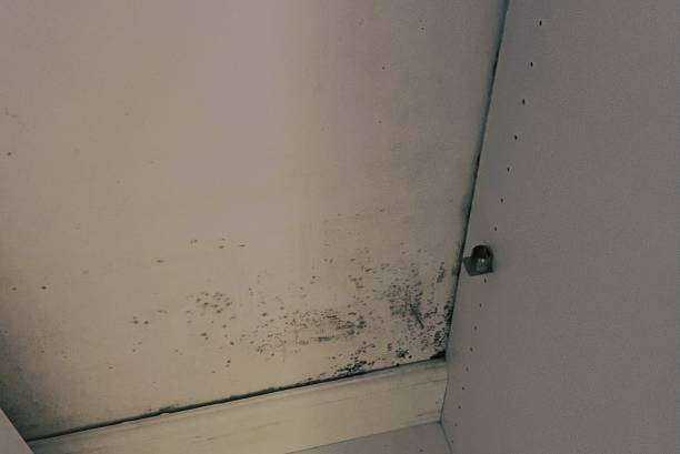 24-7 Emergency Mold Removal and Remediation Chapel Hill, TX