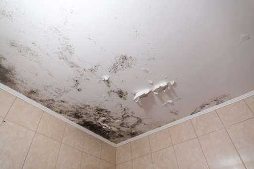 24-7 Emergency Mold Removal and Remediation Mineola, TX