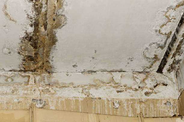 24-7 Emergency Mold Removal and Remediation Tyler, TX