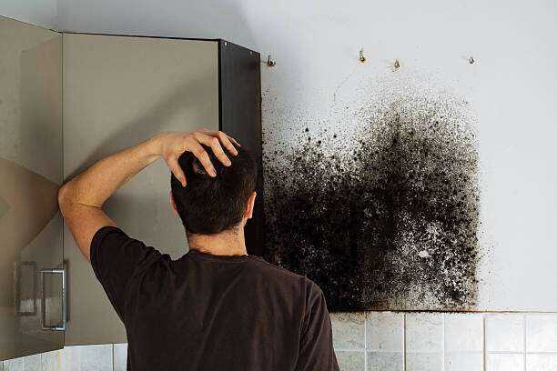 24/7 Emergency Mold Removal and Remediation Tyler