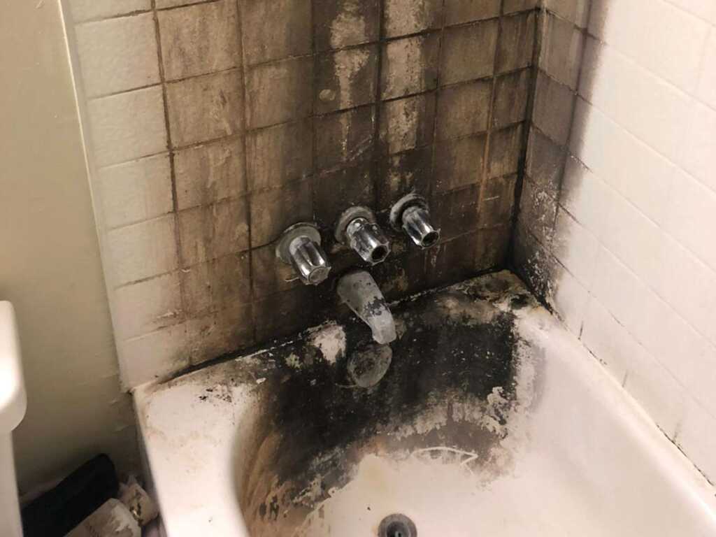 Commercial Mold Remediation and Removal Whitehouse, TX