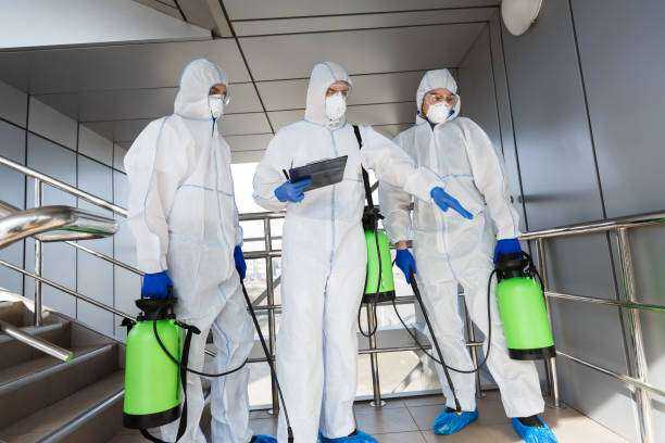 Black Mold Removal and Remediation Troup, TX