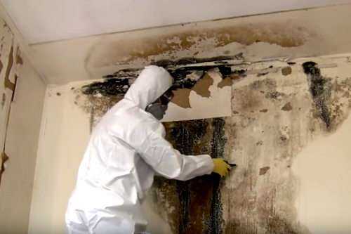 Commercial Mold Remediation and Removal Bullard, TX