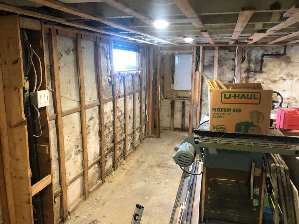 Commercial Mold Remediation and Removal Chandler, TX