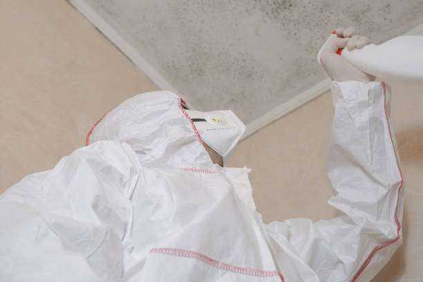 Commercial Mold Remediation and Removal Troup, TX