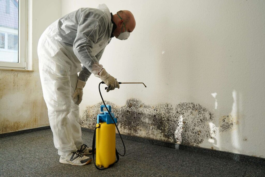 Commercial Mold Remediation and Removal Tyler tx