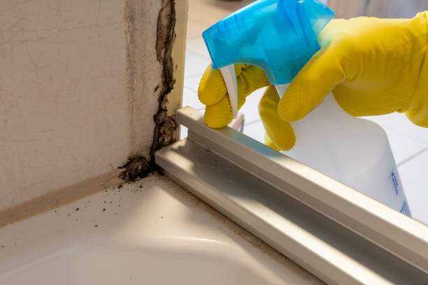 Mold Inspection and Testing Chapel Hill, TX