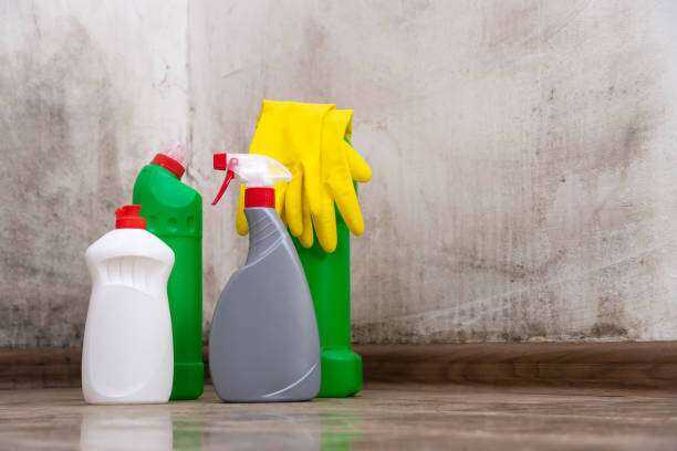 Mold Inspection and Testing Mineola, TX
