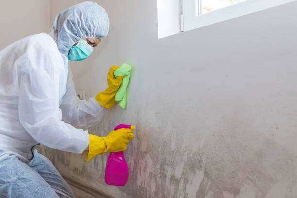 Mold Inspection and Testing Troup, TX