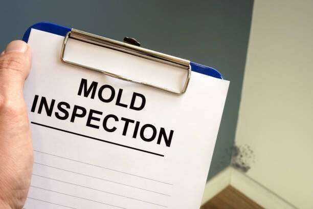 Mold Inspection and Testing Tyler Tx