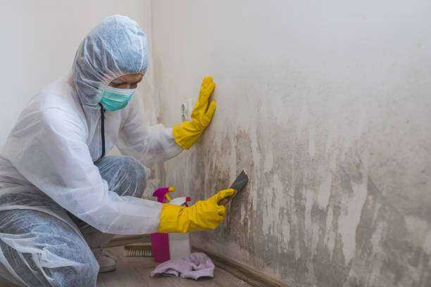 Mold Inspection and Testing Whitehouse, TX