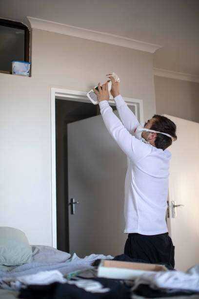 Mold contractors In tyler