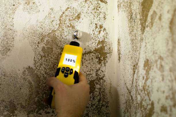 Mold Remediation Troup, TX