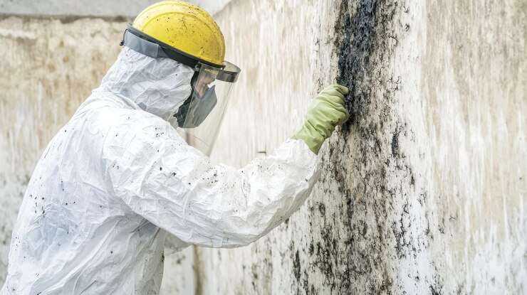 Mold Remediation Whitehouse, TX
