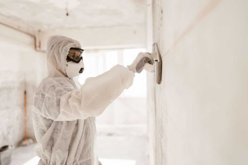 Mold Removal Arp, TX