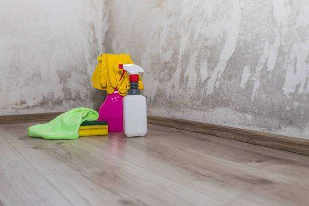 Mold removal company in Tyler
