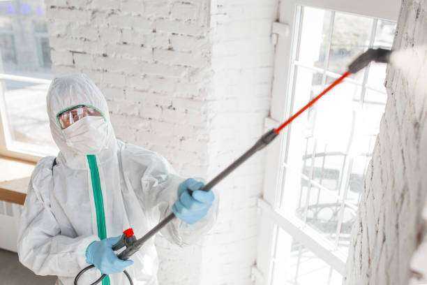 Residential Mold Remediation and Removal Arp, TX
