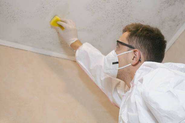 Residential Mold Remediation and Removal Tyler Tx