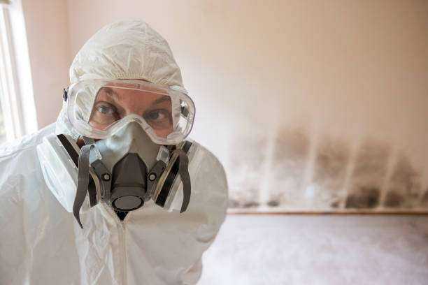 Toxic Mold Removal and Remediation Chapel Hill, TX