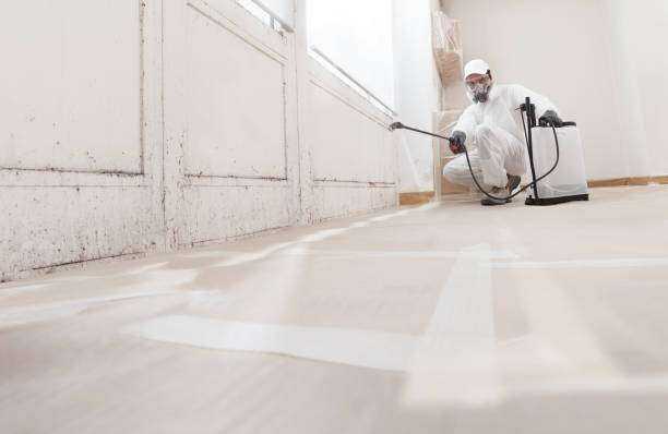 Toxic Mold Removal and Remediation Mineola, TX