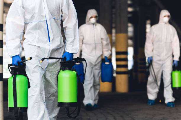 Toxic Mold Removal and Remediation Tyler, TX