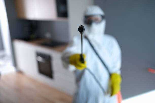 Toxic Mold Removal and Remediation Tyler Tx